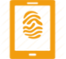 primary